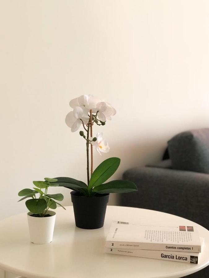 Carihuela Beach Suite Apartment Τορρεμολίνος Εξωτερικό φωτογραφία